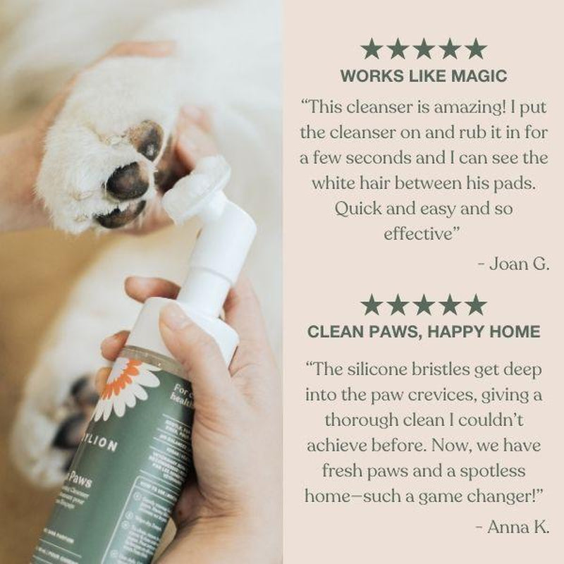 Dandylion Clean Paws No-Rinse Foaming Paw Cleanser for Dogs – Gentle Brush-On, Fragrance-Free, Vegan, Cruelty-Free, Plant-Based, No Mess, 5 Fl Oz