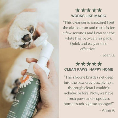Dandylion Clean Paws No-Rinse Foaming Paw Cleanser for Dogs – Gentle Brush-On, Fragrance-Free, Vegan, Cruelty-Free, Plant-Based, No Mess, 5 Fl Oz