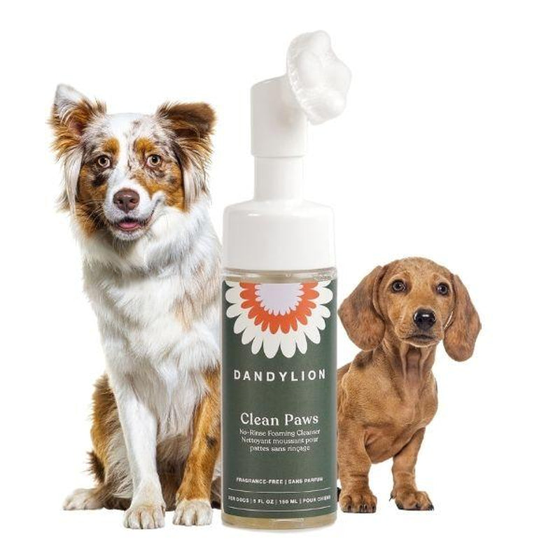 Dandylion Clean Paws No-Rinse Foaming Paw Cleanser for Dogs – Gentle Brush-On, Fragrance-Free, Vegan, Cruelty-Free, Plant-Based, No Mess, 5 Fl Oz