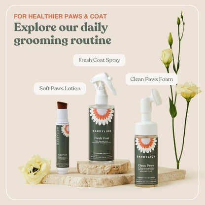 Dandylion Clean Paws No-Rinse Foaming Paw Cleanser for Dogs – Gentle Brush-On, Fragrance-Free, Vegan, Cruelty-Free, Plant-Based, No Mess, 5 Fl Oz