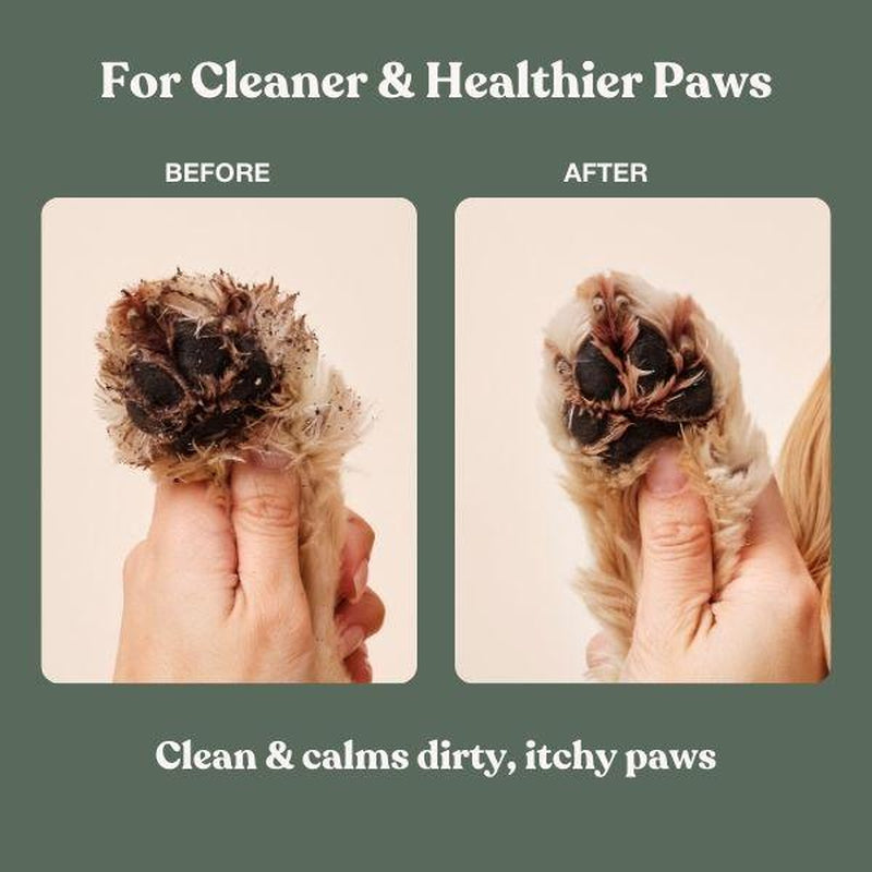 Dandylion Clean Paws No-Rinse Foaming Paw Cleanser for Dogs – Gentle Brush-On, Fragrance-Free, Vegan, Cruelty-Free, Plant-Based, No Mess, 5 Fl Oz
