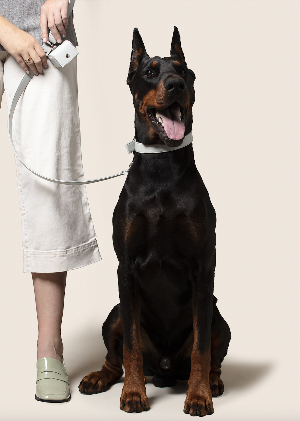 Apple leather poo bag holder